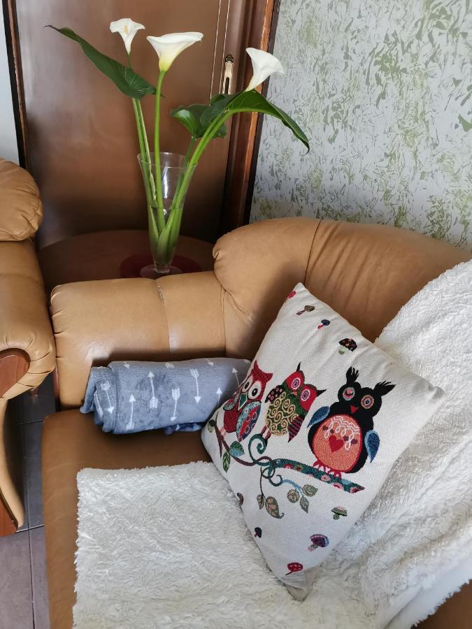 Apartament Hamboula Polis Zewnętrze zdjęcie
