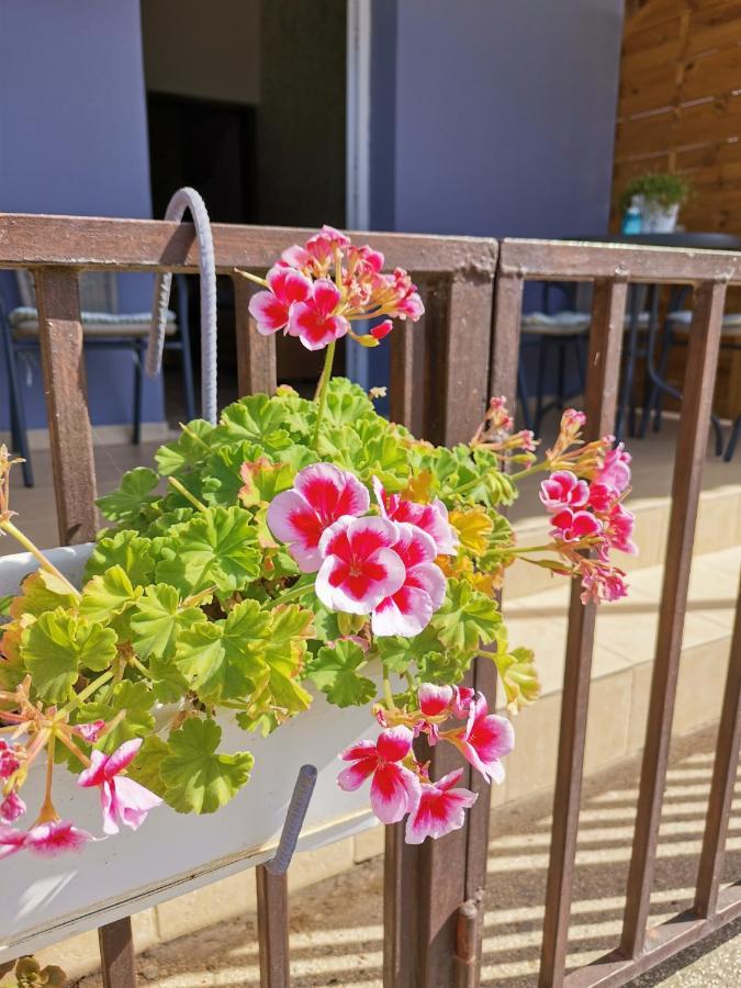 Apartament Hamboula Polis Zewnętrze zdjęcie
