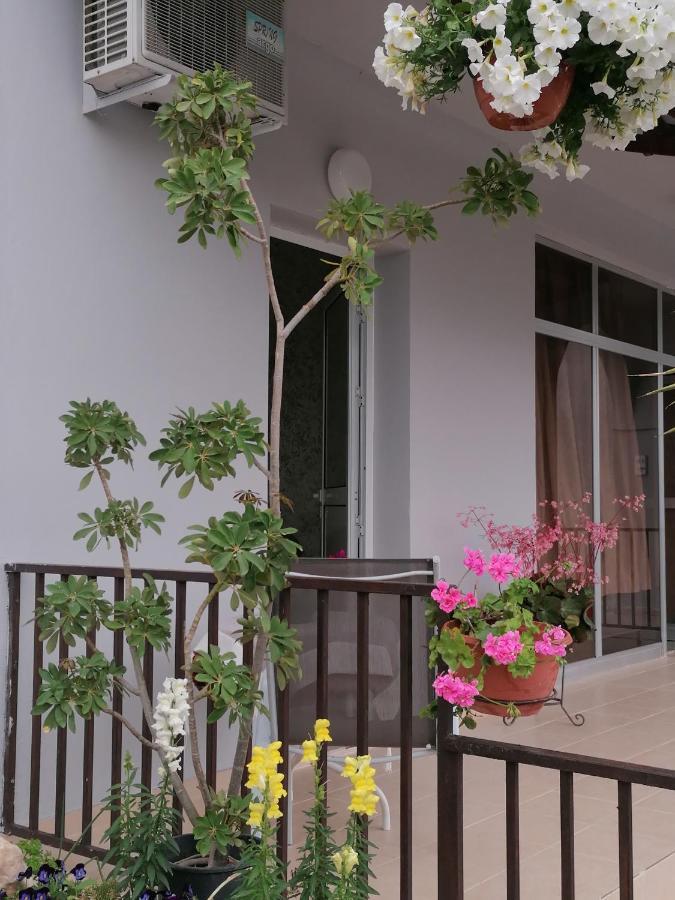 Apartament Hamboula Polis Zewnętrze zdjęcie